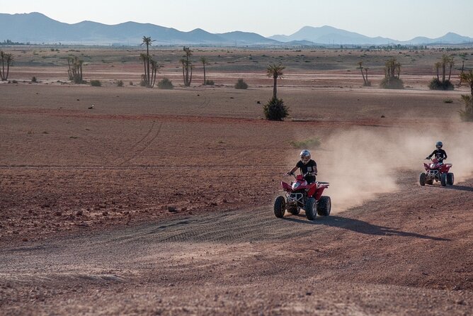 1/2 journée Quad Palmeraie Marrakech - Should you book Marrakech Quad Evasion for Palm Grove?