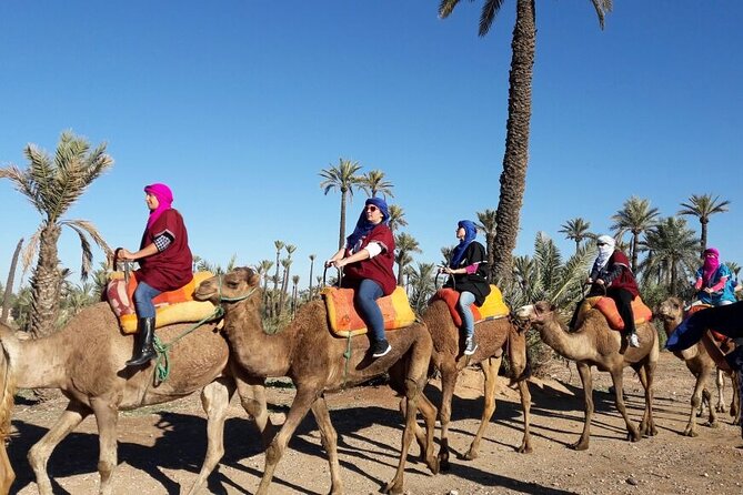 1-Hour Camel Ride and 1-Hour Quad Bike Ride in Marrakech. - The tea stop: a small break that actually helps