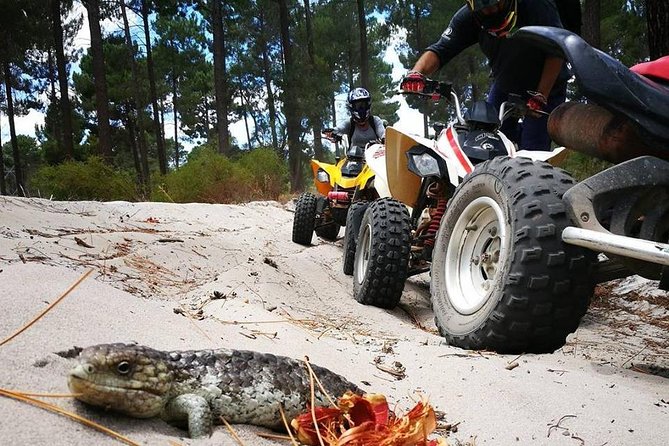 1 Hour Quad Bike Tours, only 30 minutes from Perth - Key points to know before you go