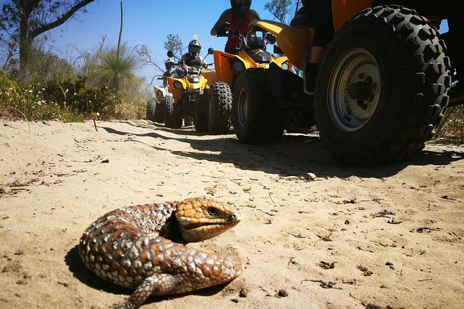 1 Hour Quad Bike Tours, only 30 minutes from Perth - Tracks, turns, jumps, and the surfaces you’ll feel