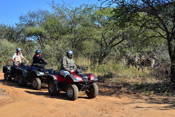 1 Hour Quad Biking Nature Trail at Sun City - Key things I’d watch for before you go