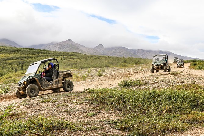 2.5-Hour Denali Wilderness ATV Adventure Tour - Why This Denali ATV Ride Feels Different Than a Standard Tour