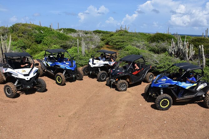2-Hour Buggy Adventure Tour in Curacao - Key points that matter before you book