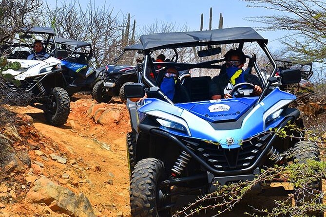 2-Hour Buggy Adventure Tour in Curacao - What makes North Curaçao work so well on a buggy