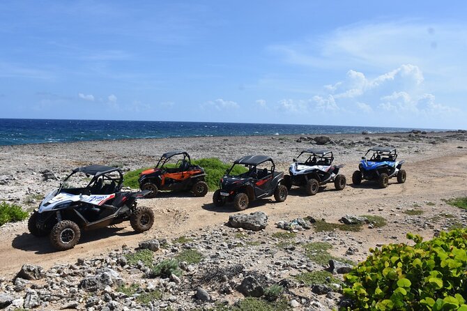 2-Hour Buggy Adventure Tour in Curacao - Stop 3 at Koraal Tabak Drift Track: the off-road loop that earns the title