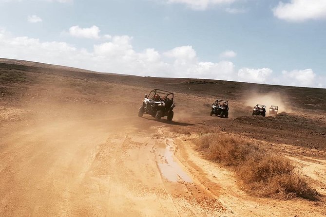 2-hour Buggy Tour from Costa Teguise - Quick hits: what makes this Costa Teguise buggy tour special