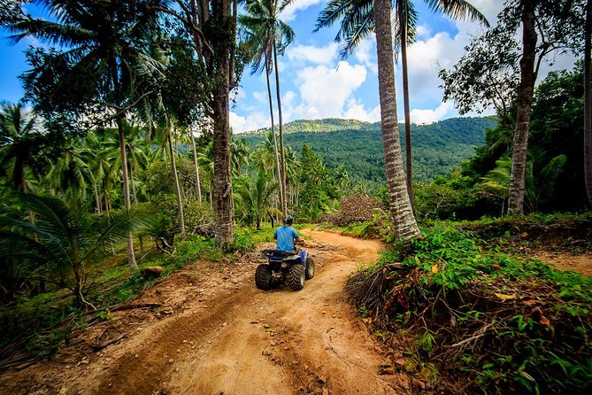 2-Hour Koh Samui ATV Quad Tour - Waterfall Option: The Seasonal Payoff