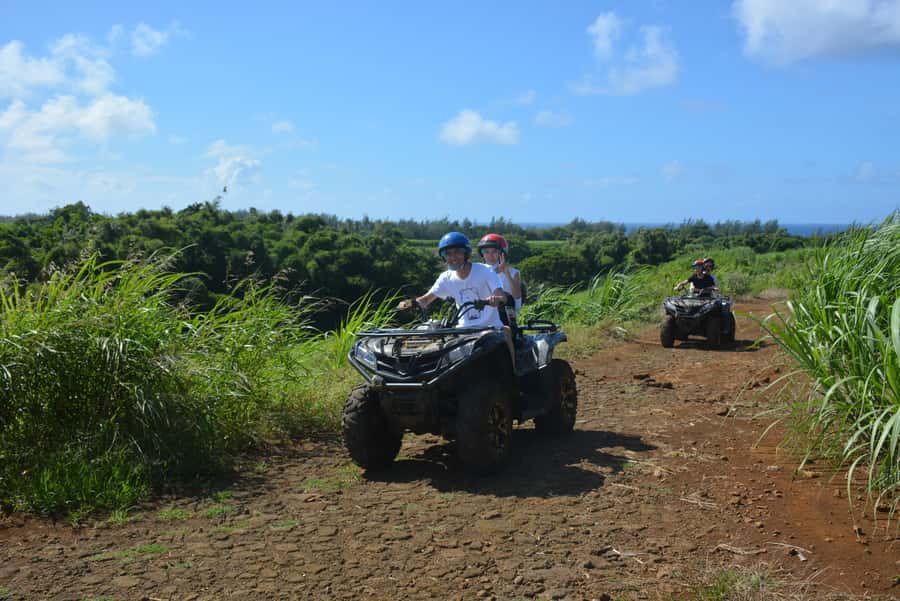 2-Hour Quad Bike Tour of the Wild South of Mauritius - Entering the Wild South: What Makes This Quad Tour Worth Your Time