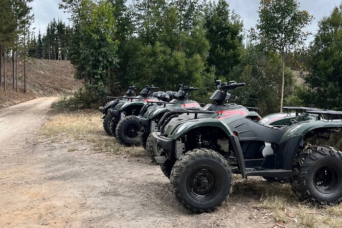 2-Hour Quad Biking Guided Excursion Through the Knysna Forests - Knysna pine and indigenous forest, on four wheels