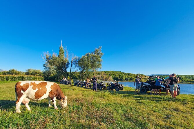 2 hours Beginner Quad Tour at Dalmatia Inland - Key Things That Make This Quad Tour Worth Your Time
