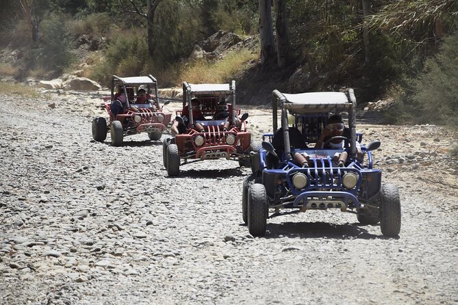 2 Hours Buggy Safari Experience in the Mountains of Mijas with Guide - Price and Value: Is $181.02 for 2 Hours Fair?