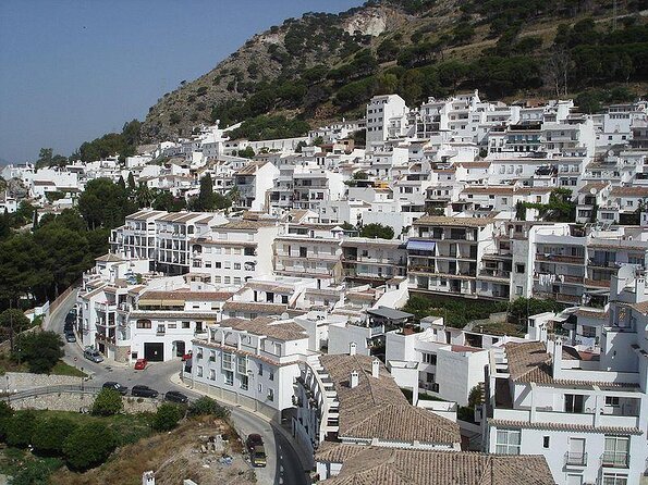 2 hours guided Quad tour in Mijas, Malaga. - Why This Quad Safari Feels Like Real Costa del Sol Countryside Time