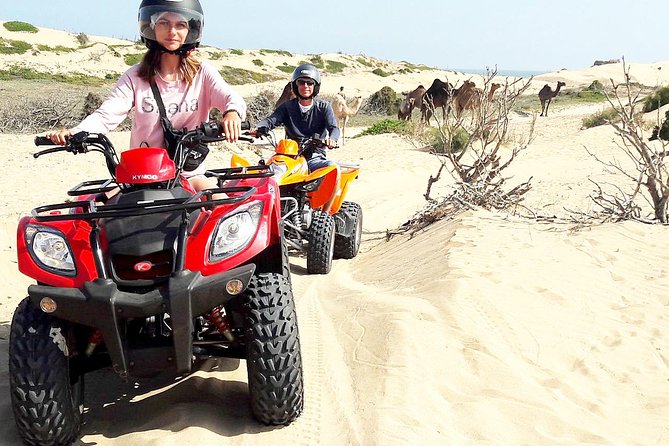 2h quad bike on the beach and in the dunes - Key things to know before you go