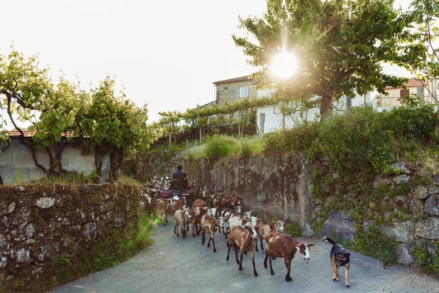 2h Quad Tour • Arcos de Valdevez • Peneda Gerês - What’s Included (and What Isn’t): Insurance, Gear, and the Rules That Keep It Fun