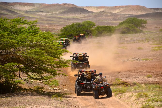 2h SSV Buggy Desert Adventure - 1000cc or 500cc - Serra Negra and Murdeira Bay: black mountain views and turtle timing