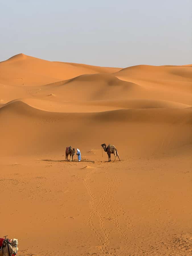 3-Day luxury Adventure: Marrakech to Merzouga incl.Quad/show - The Real Deal: What This 3-Day Luxury Desert Trip Feels Like