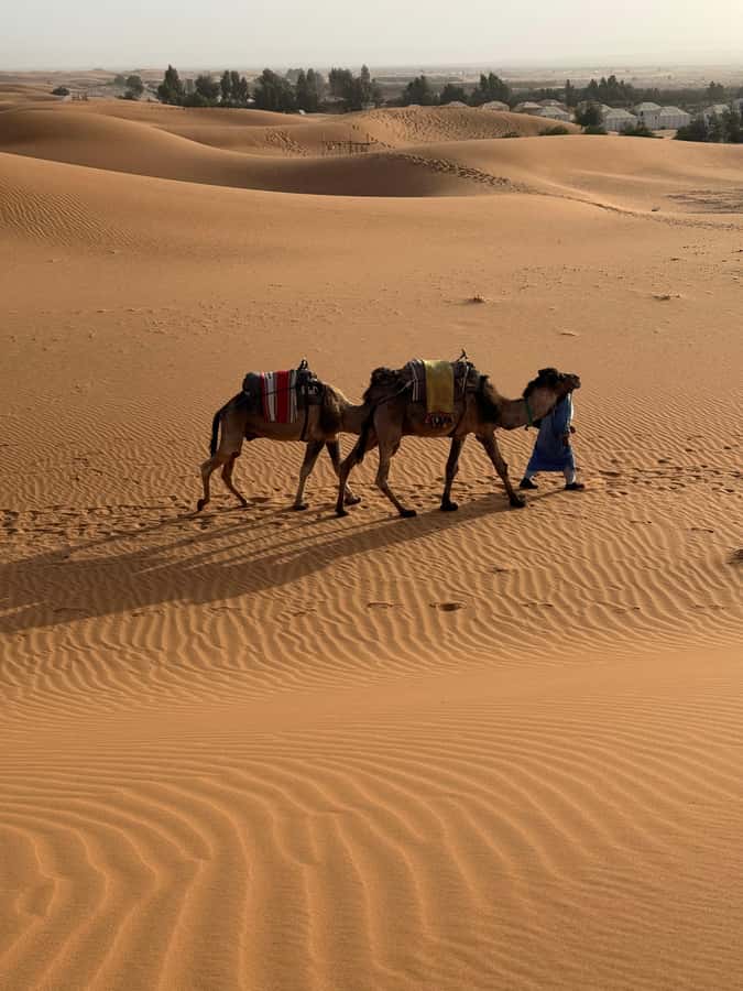 3-Day luxury Adventure: Marrakech to Merzouga incl.Quad/show - Day 3: Sunrise Quad Ride, Desert Backtracking, and the Long Return to Marrakech