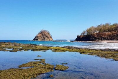 3 Hour ATV Secluded Beach Tour from Tamarindo, Flamingo, Conchal & Grande - From Tamarindo Area Into Rural Trails: Why This Tour Works