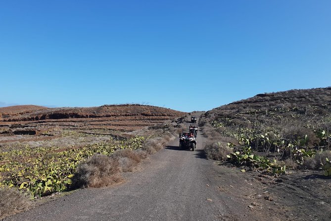 3-hour Buggy Tour from Costa Teguise - What you actually get on board: dust glasses, water, and footwear