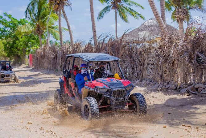 3-Hour Extreme Buggy Tour of Punta Cana - Buggy reality check: how to think about vehicle condition and safety