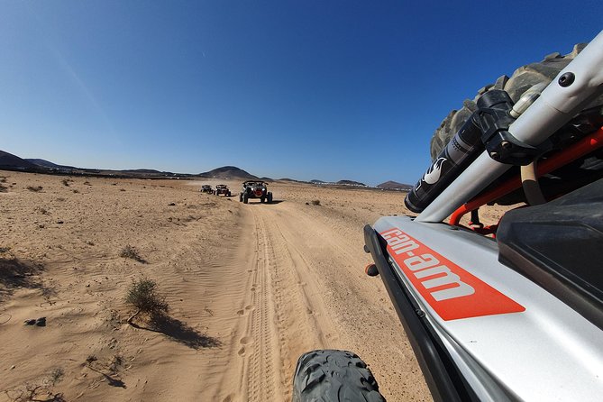 3 Hour Guided Buggy Tour Around the Island of Lanzarote - La Geria start: wine-cellar country near Timanfaya