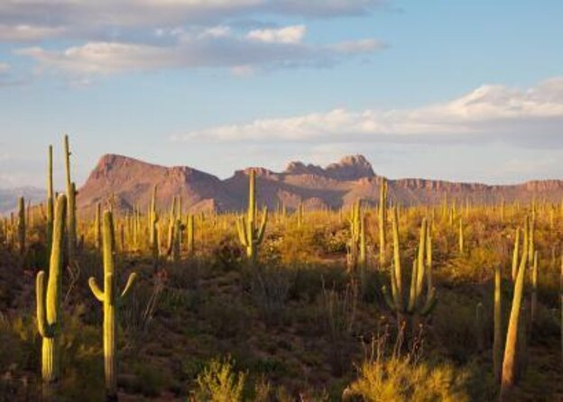 3 Hour Guided TomCar ATV Experience in Sonoran Desert - Key things to know before you go
