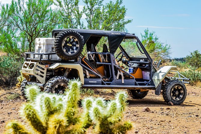 3 Hour Guided TomCar ATV Experience in Sonoran Desert - Who gets to drive: age rules that actually matter