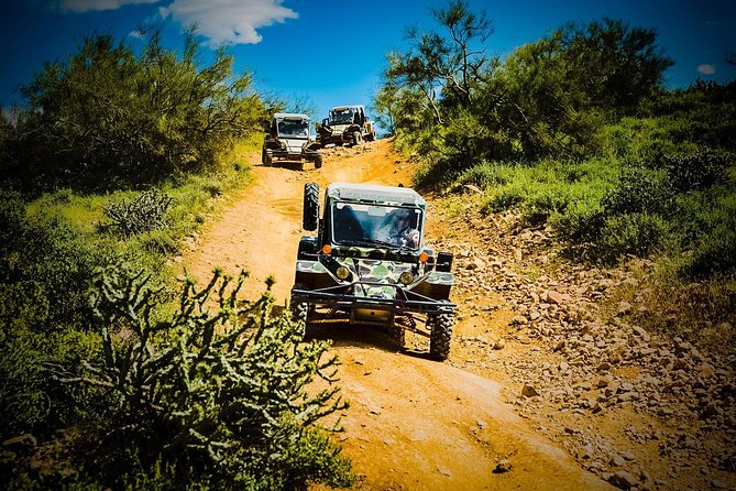 3 Hour Guided TomCar ATV Experience in Sonoran Desert - Desert learning that doesn’t feel like a lecture