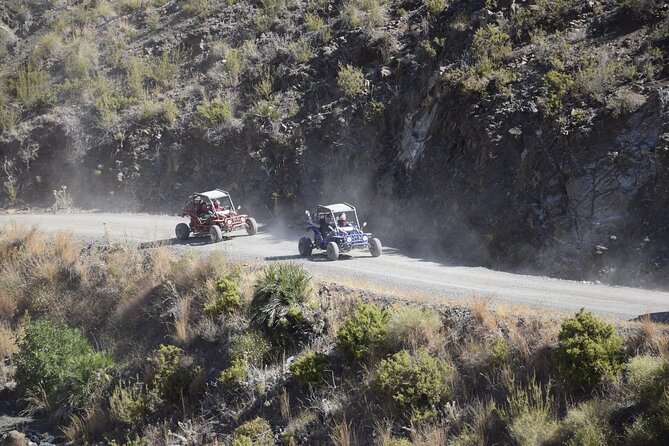 3 Hours Guided Buggy Safari Adventure in the Mountains of Mijas - Why This Mountain Buggy Safari Beats Staying Near the Coast