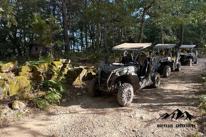 30 minutes Buggy Ride - Key highlights you’ll feel fast