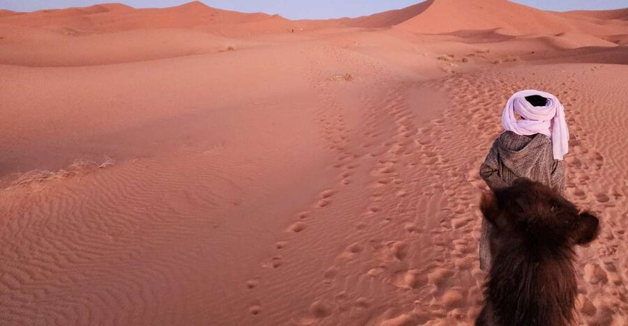 3D Deluxe Experience: Marrakech to Merzouga w/ Quad Option - Erfoud fossils and the desert approach: the road to Merzouga