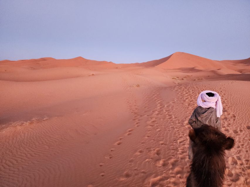 3D Deluxe Experience: Marrakech to Merzouga w/ Quad Option - Quad option in the dunes: when it’s worth paying extra