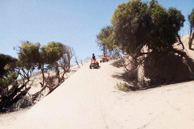 3h quad bike: Thrills in the beach and dunes - Dunes and Diabat: Where the Terrain Adds Real Challenge