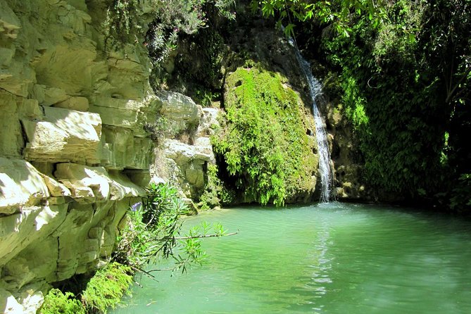 4 hour Quad & Buggy Safari Akamas(lara Bay) & Adonis Falls - Quad & Buggy Safari Akamas: what $78.64 buys you