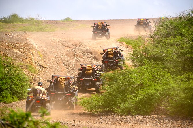 4h SSV Buggy Island Adventure - 1000cc or 500cc - Fontona Oasis and Palmeira: Fishing Village Reality