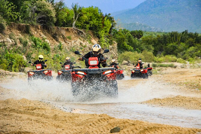 4x4 ATV Adventure with Tequila Tasting and Mexican Buffet Lunch - Key Takeaways Before You Go