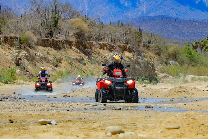 4x4 ATV Adventure with Tequila Tasting and Mexican Buffet Lunch - Lunch at the Oceanfront: Mexican Buffet That Holds Up After ATV Dust