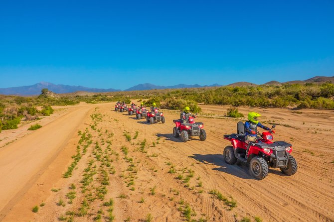 4x4 ATV Adventure with Tequila Tasting and Mexican Buffet Lunch - Tequila and Mezcal Tasting: Fun, Local, and Time-Limited