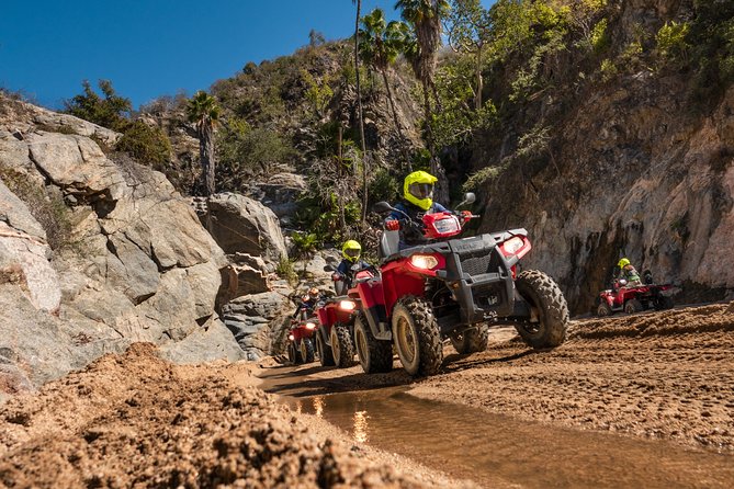 4x4 ATV Adventure with Tequila Tasting and Mexican Buffet Lunch - The Ecological Farm Stop: What to Expect (and What You Shouldn’t Assume)