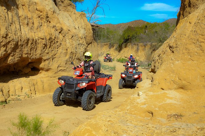 4x4 ATV Adventure with Tequila Tasting and Mexican Buffet Lunch - Fees, Insurance, and the Real Cost of the Day