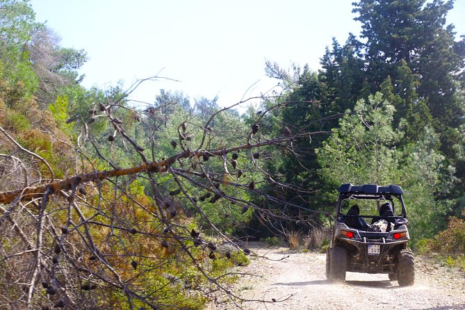 4x4 Buggy Adventures - Off-road Polaris Experience - Why This Polaris RZR Trail S Ride Feels More Like Rhodes