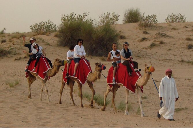 4x4 Self-Drive Quad Bike Safari with Camel Riding - Guide Quality: When Javed, Yasir, and Mohammed Make It Better