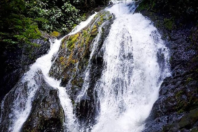 5 Hour Off-Road ATV+ Zipline+ Waterfall Rappelling+ Tractor Jungle Tour - El Encanto Zip Line Course: Over 2,000 meters of treetop flying