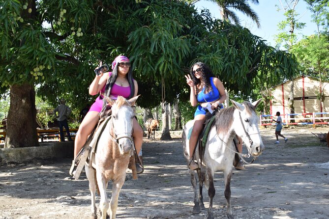 5 tours in 1 (Eco Farm/Horseback/City Tour/Buggy/Zipline) - Why This Punta Cana 5-in-1 Works for First Timers (and Busy Schedules)