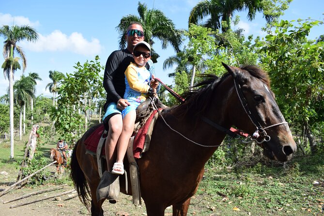 5 tours in 1 (Eco Farm/Horseback/City Tour/Buggy/Zipline) - Zipline in Anamuya: Suspension Bridge Views and Multiple Platforms