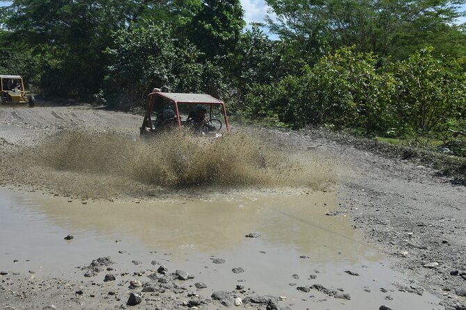 7 Waterfalls Damajagua and Dune Buggy - Guides and drivers: the personal touch that shapes the day