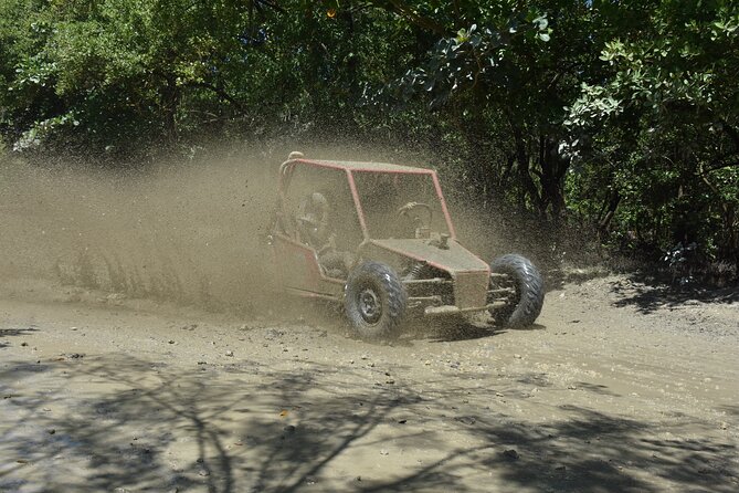 7 Waterfalls Damajagua and Dune Buggy - Should you book 7 Waterfalls Damajagua and Dune Buggy?
