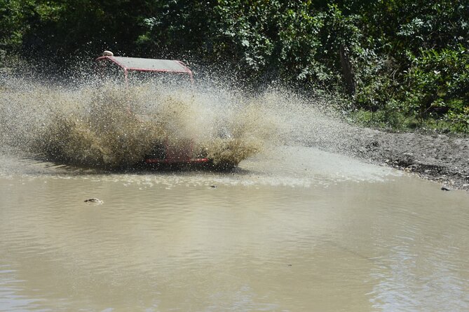 7 Waterfalls Damajagua and Dune Buggy - Damajagua waterfalls: stairs, slides, and the jump option