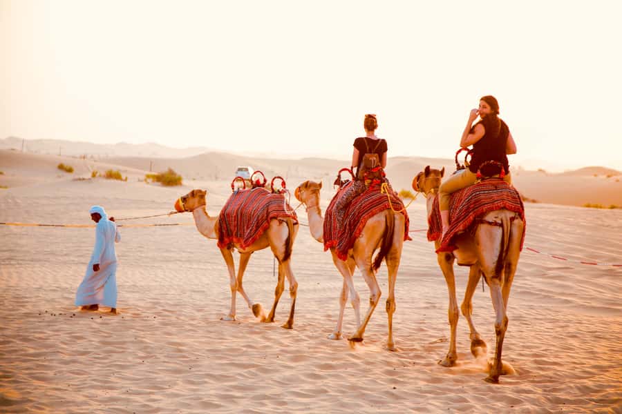 Abu Dhabi Traditional Desert Camp Experience And Quad Bike - Entering the Desert Camp Rhythm: Pickup to Late-Night Stars