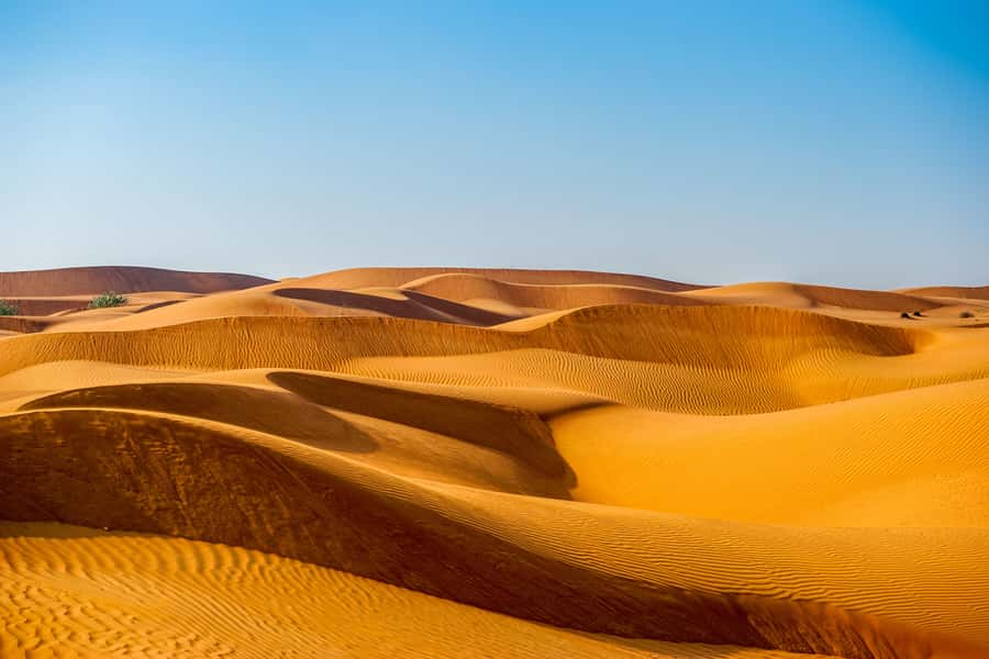 Abu Dhabi Traditional Desert Camp Experience And Quad Bike - The Main Event: 4x4 Dune Bashing (and How to Enjoy It Safely)
